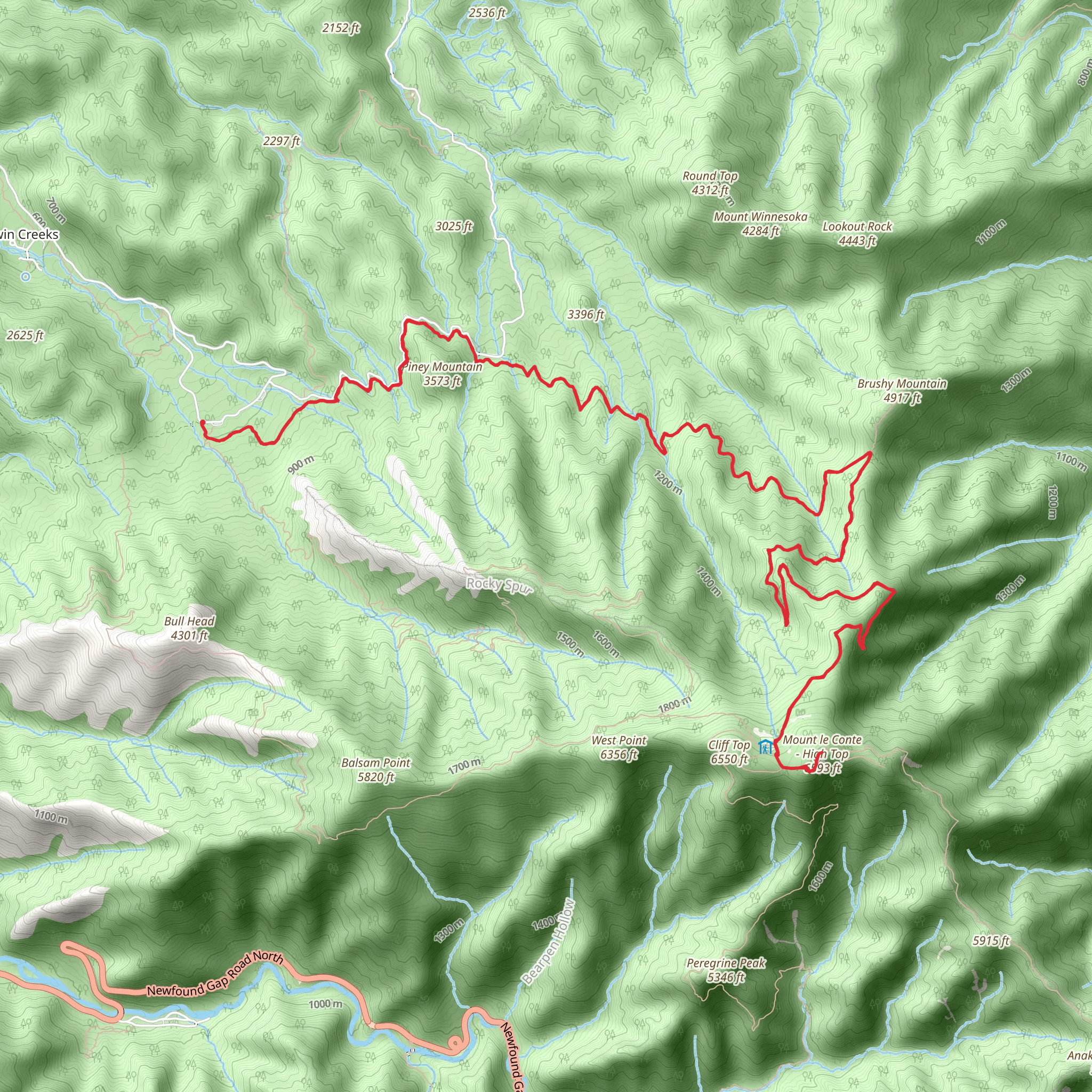 Trillium Gap to Mount LeConte Trail mobile static map