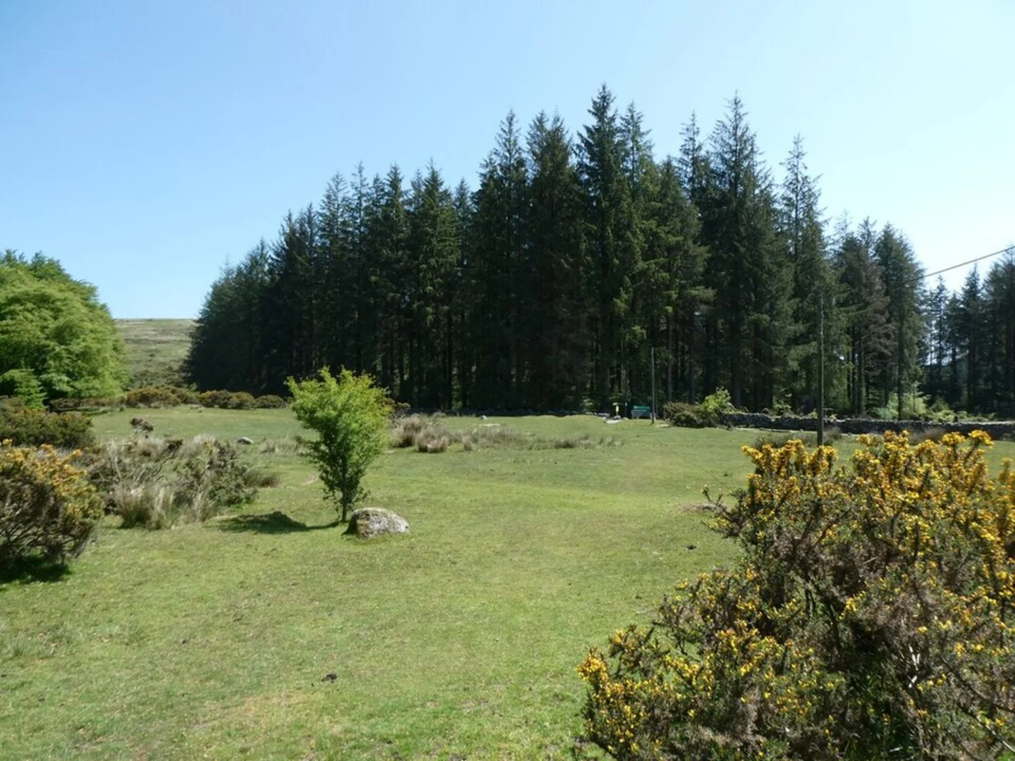 An image depicting the trail Bellever Forest Loop and its surrounding area.