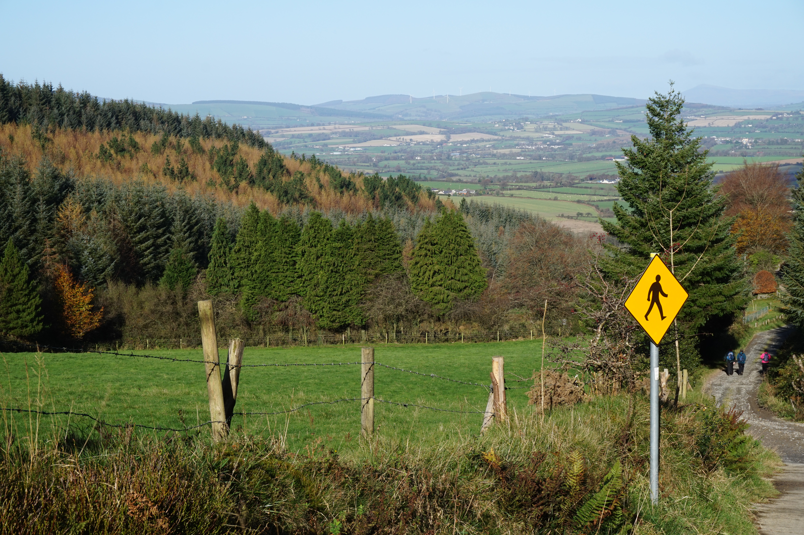 An image depicting the trail Ballybeg Loop and its surrounding area.