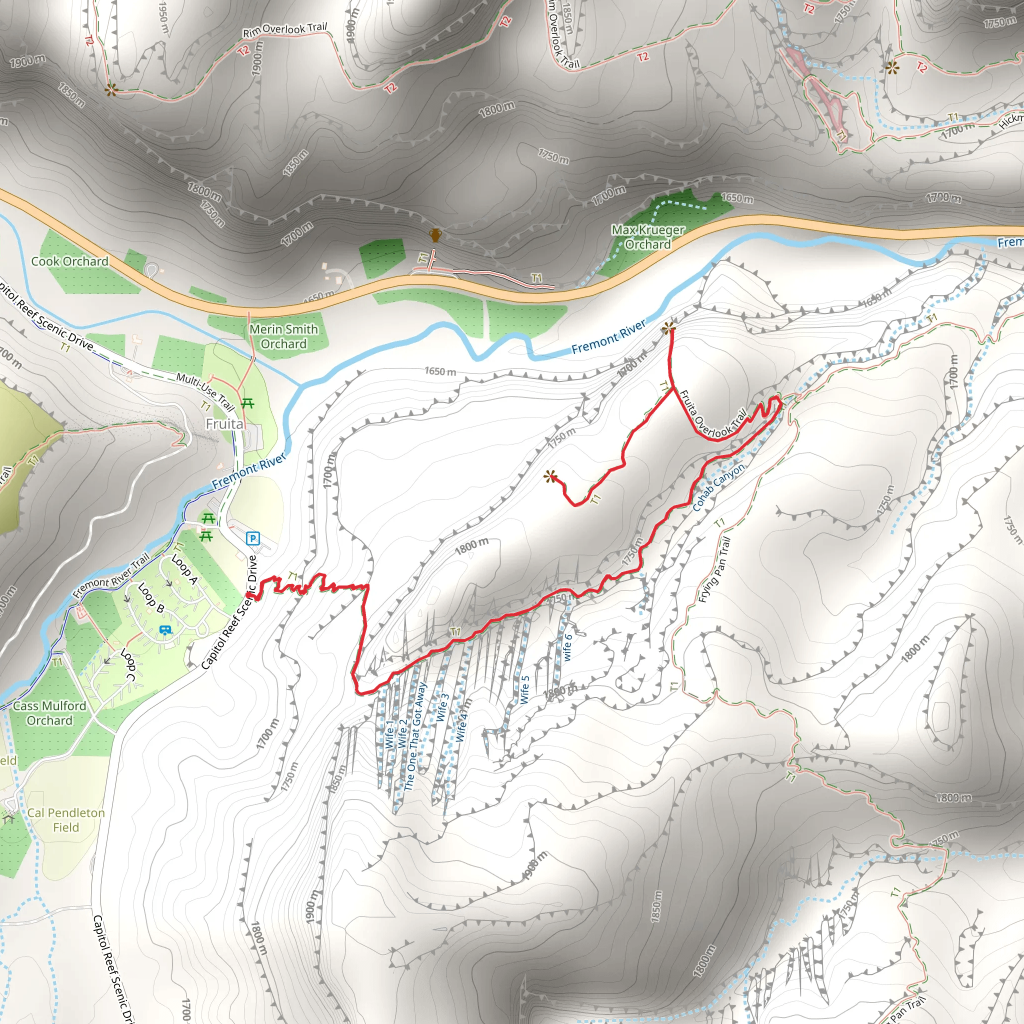 Cohab Canyon Trail and Fruita Overlook Trail mobile static map