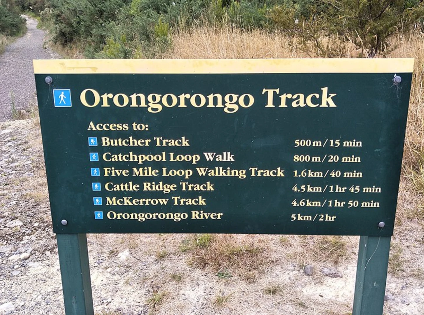 An image depicting the trail Ōrongorongo Track to Cattle Ridge Track and its surrounding area.