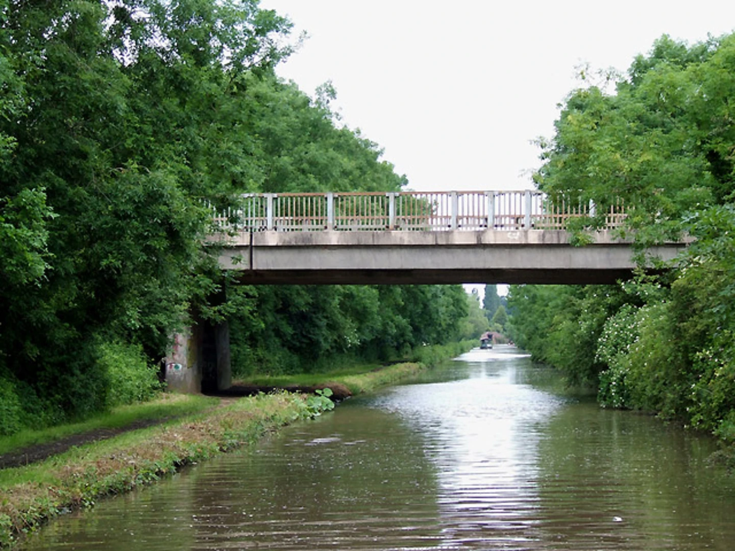 An image depicting the trail Barnacle Western Loop and its surrounding area.