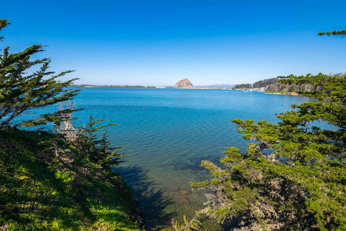 Live Oak Trail and Quarry Trail Loop