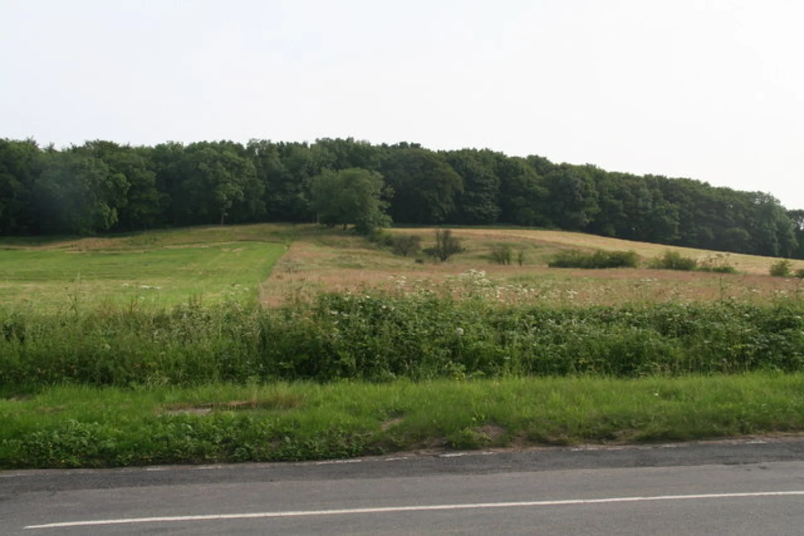 An image depicting the trail Market Rasen Loop and its surrounding area.