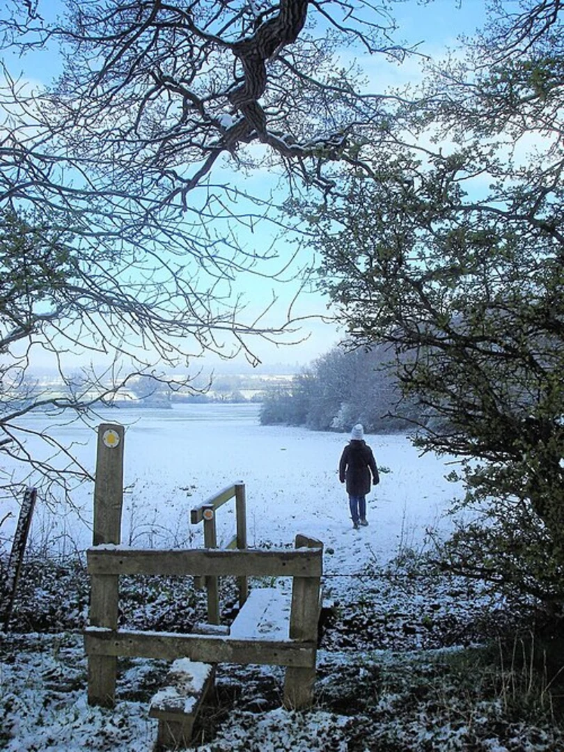 An image depicting the trail South Leigh Loop and its surrounding area.