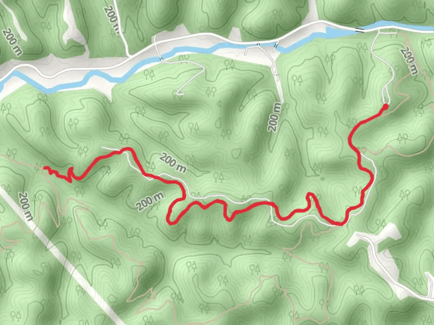 An image depicting the trail Laurel Woods Trail and its surrounding area.