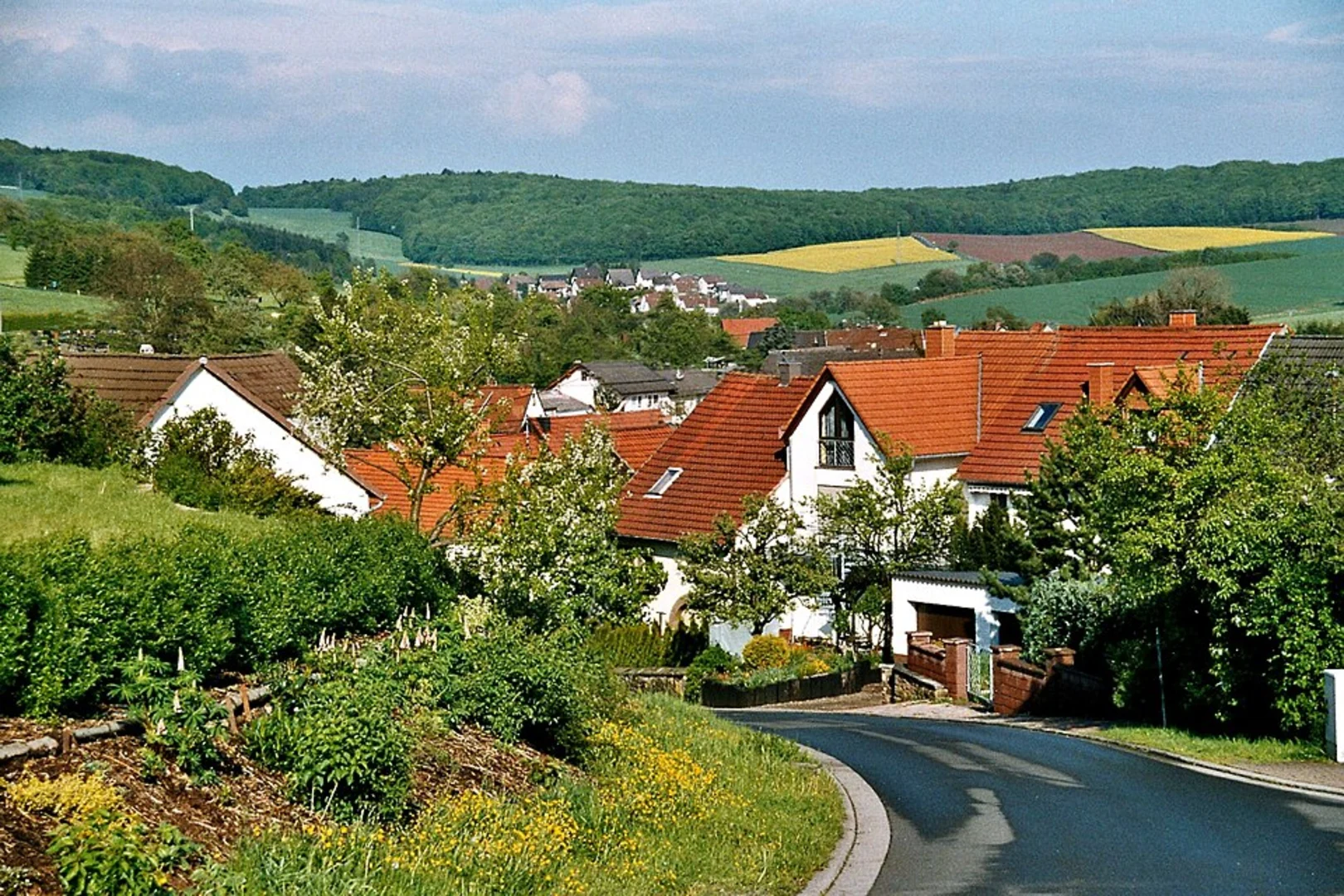 An image depicting the trail Hoher Fels, Heidenbosch and Kaiserbergwald Loop and its surrounding area.