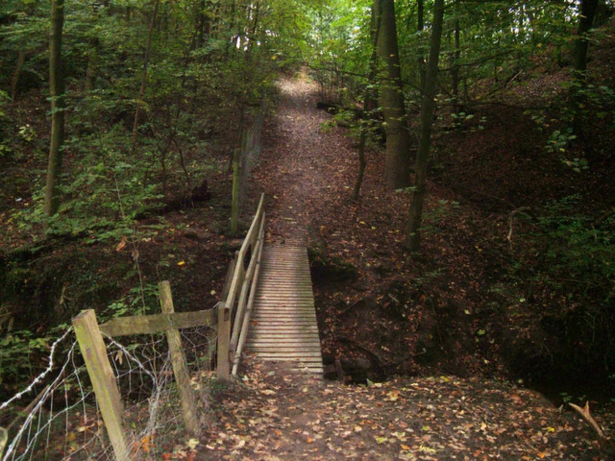 Higher Poynton to Lyme Park Circular Walk