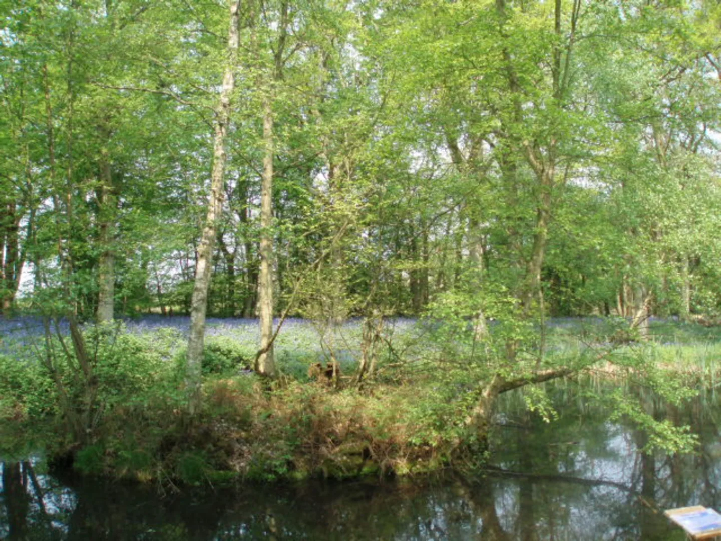 An image depicting the trail Hailsham Southern Loop and its surrounding area.