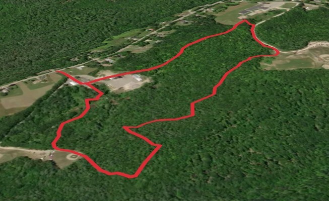 Curtis Homestead Trail