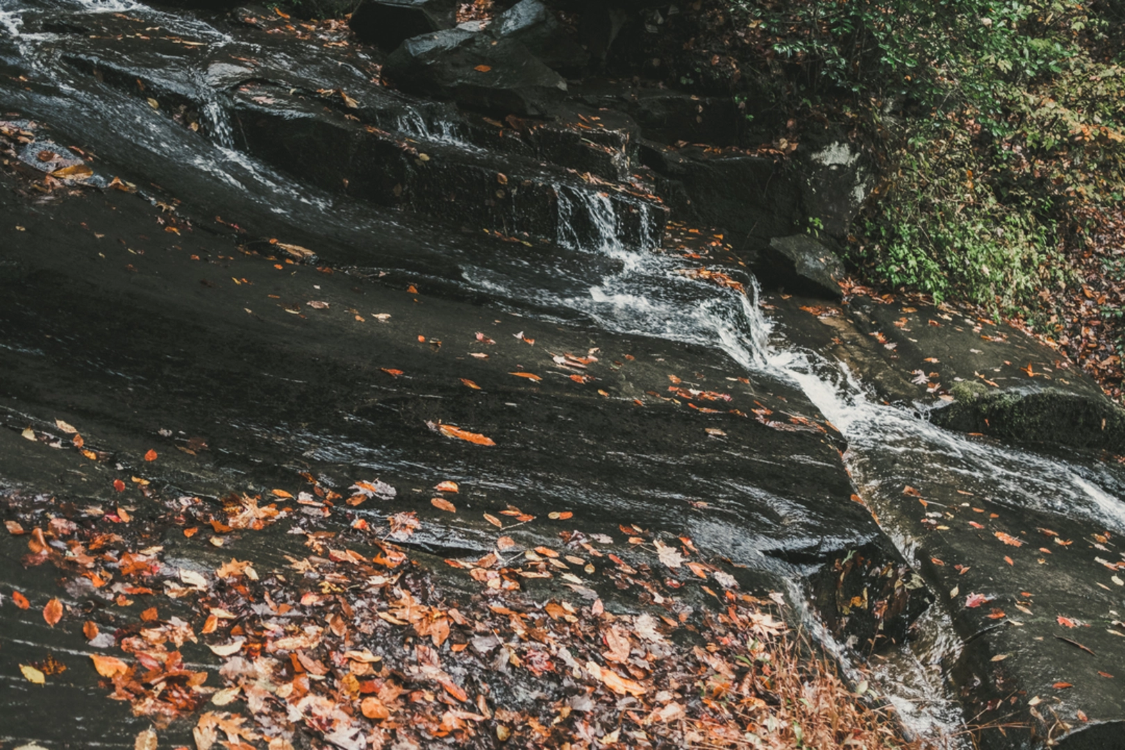 An image depicting the trail Indian Creek to Martin's Gap Trail and its surrounding area.