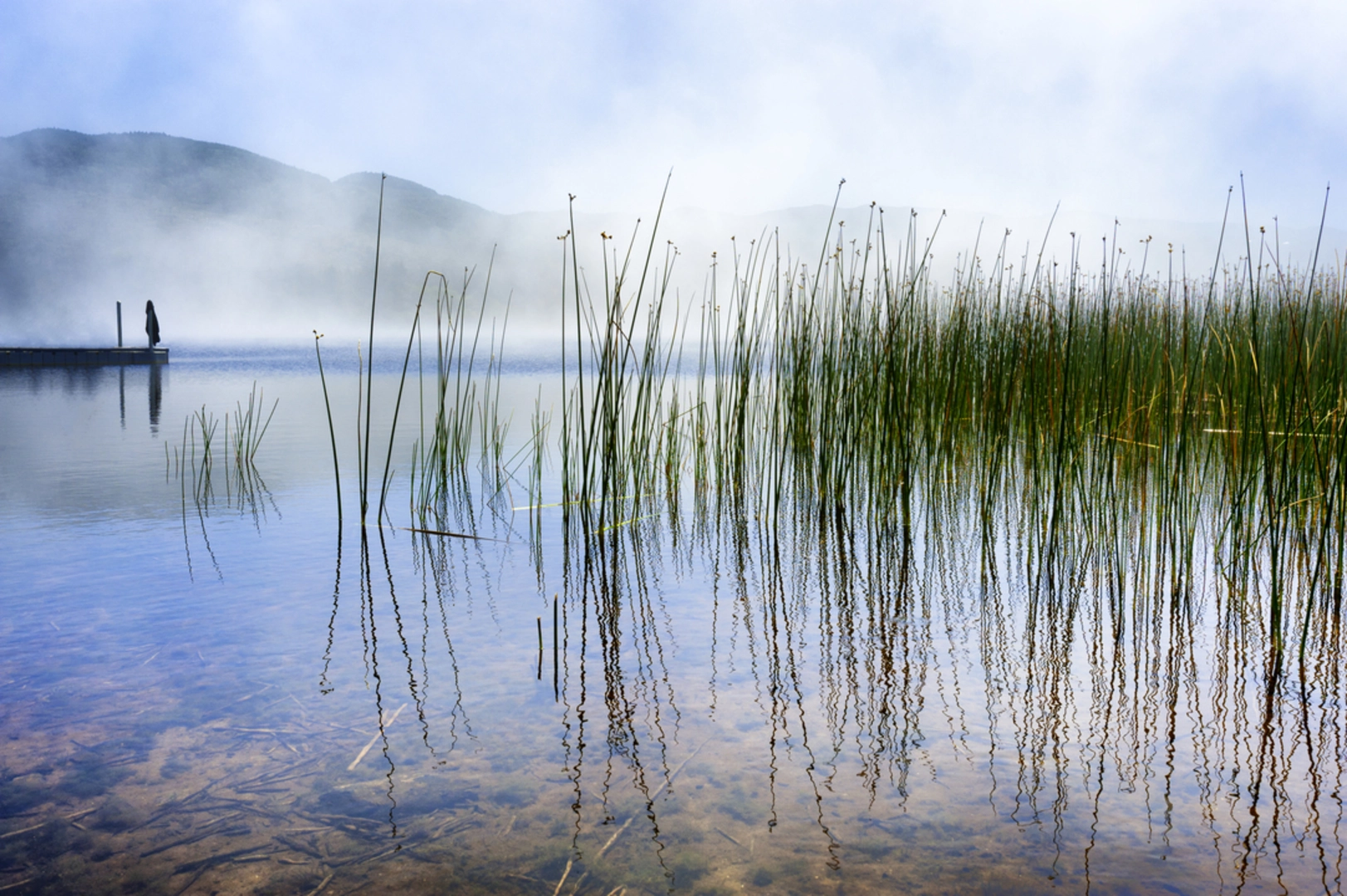 An image depicting the trail Lake Marie Loop and its surrounding area.