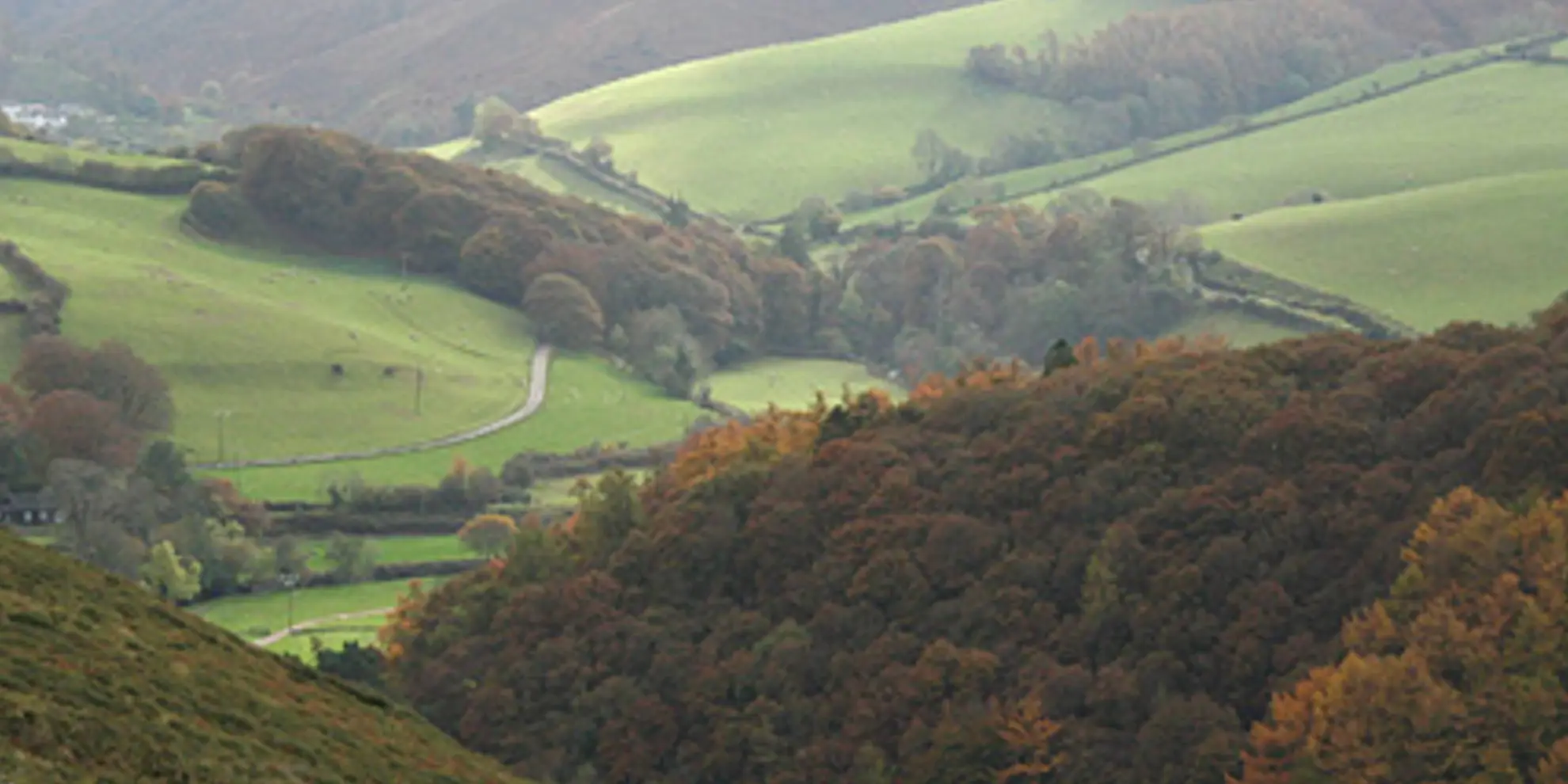An image depicting the trail Sugarloaf Hill Walk and its surrounding area.
