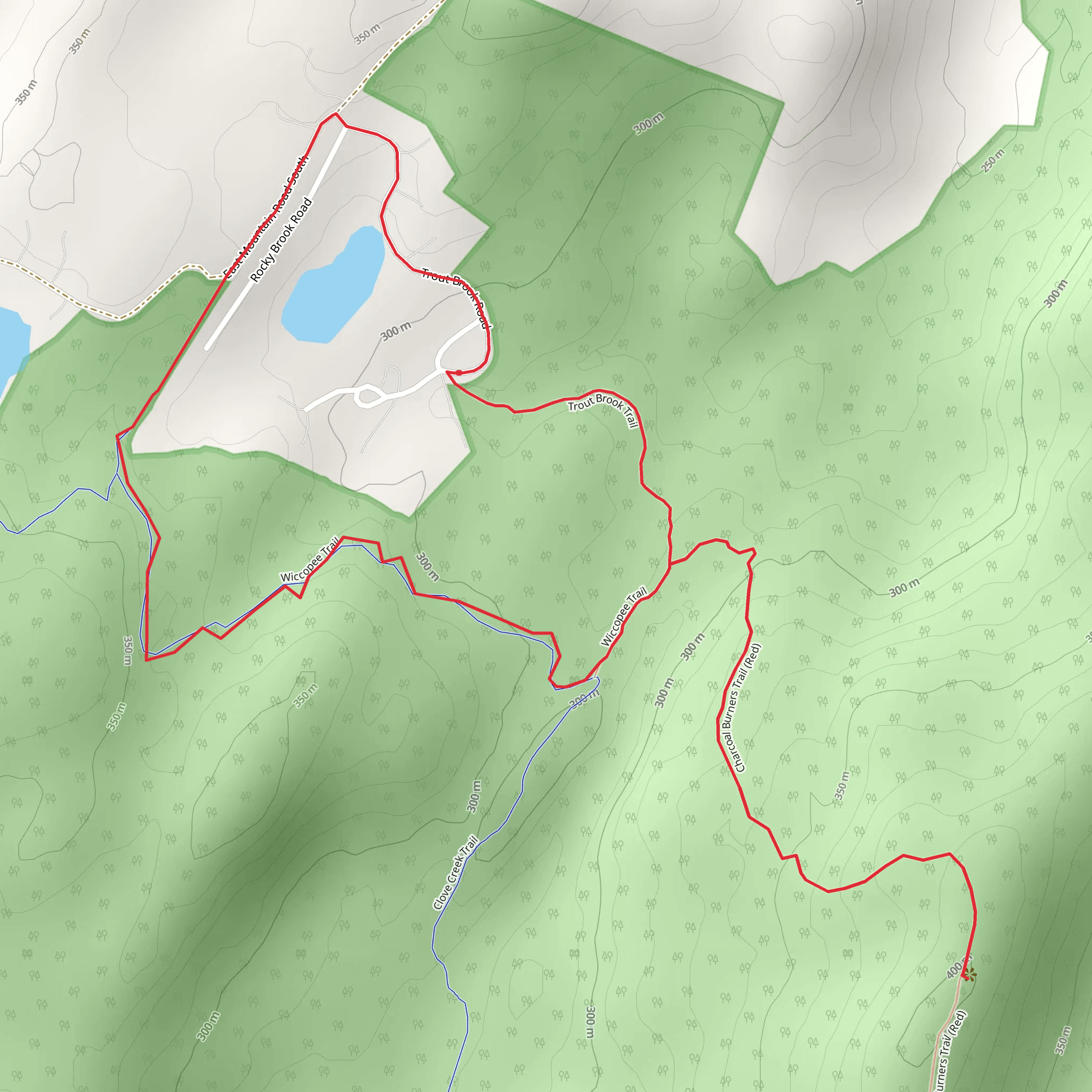 Trout Brook Road and Charcoal Burners Trail Loop - Red mobile static map