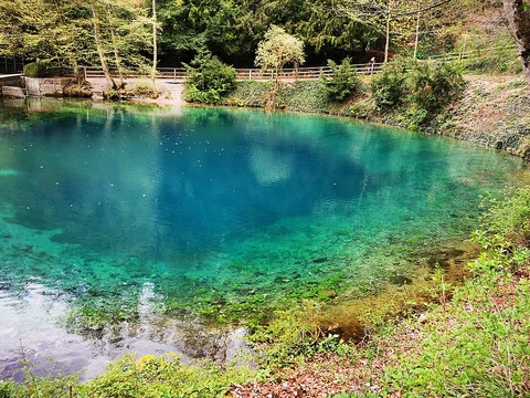 Blauhoehle, Blautopf and Ruine Gunzelburg via Blaubeurer Felsentieg