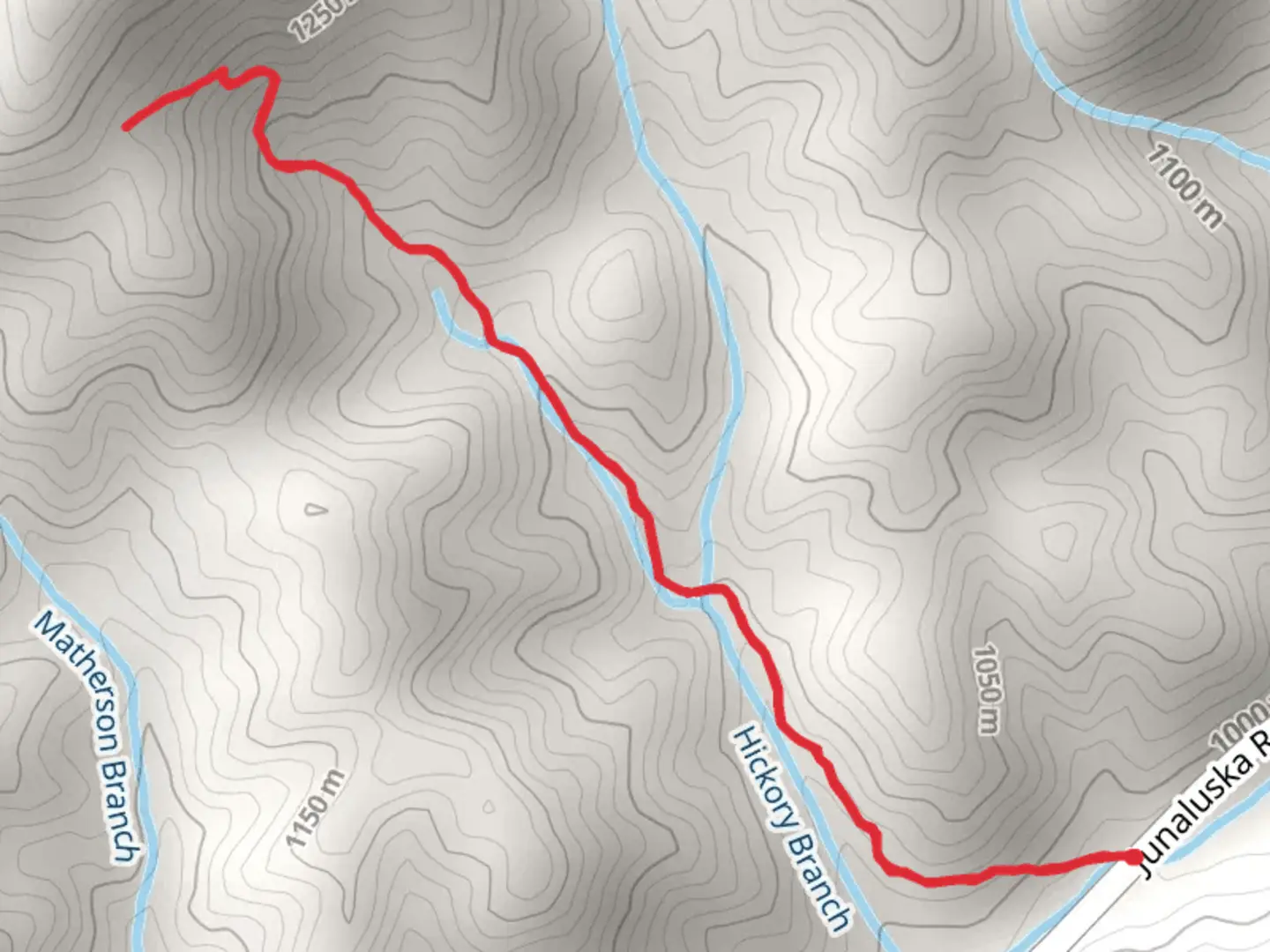 An image depicting the trail Hickory Branch Trail and its surrounding area.