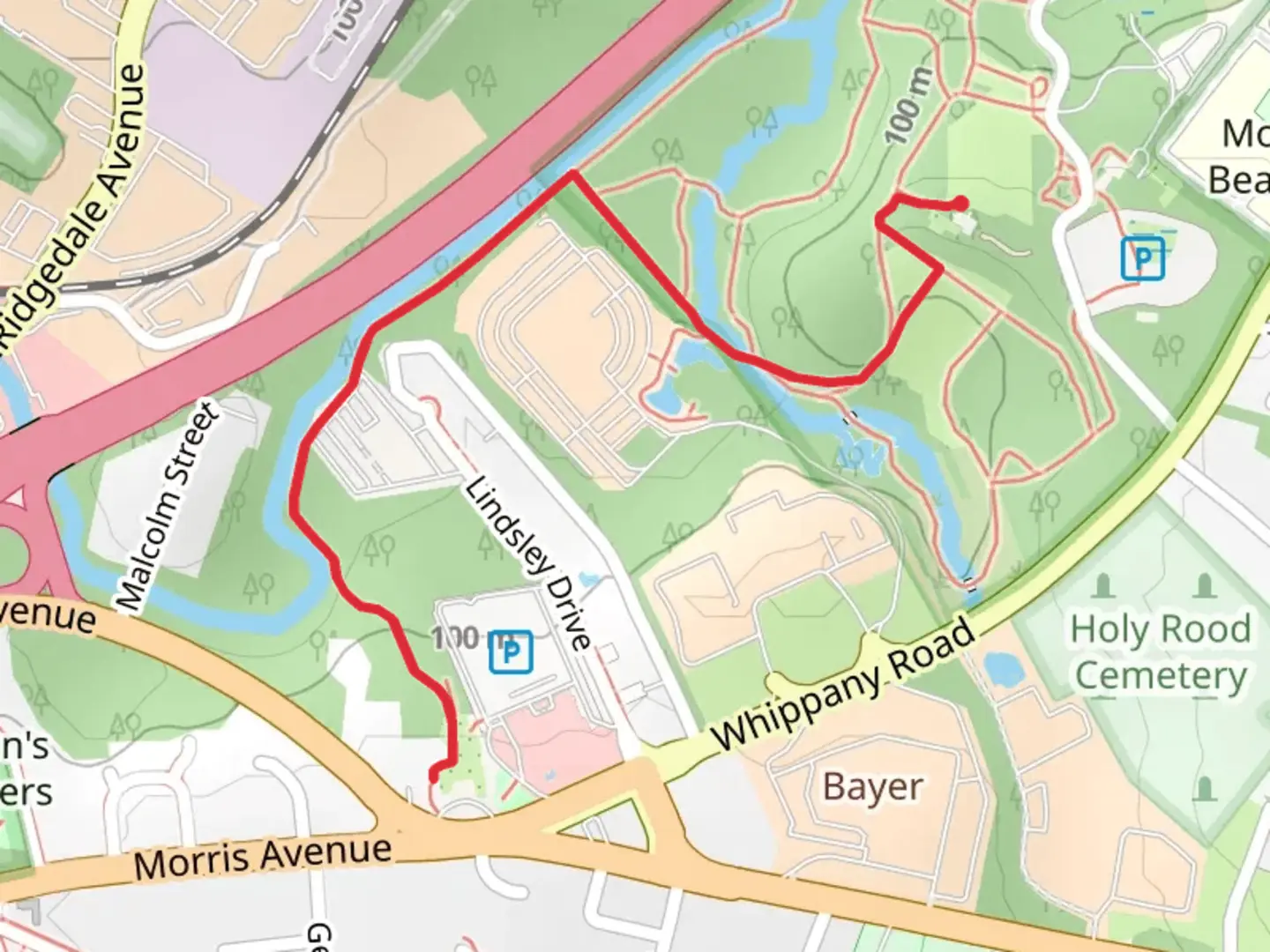 An image depicting the trail Patriot's Path - Rose Garden and its surrounding area.