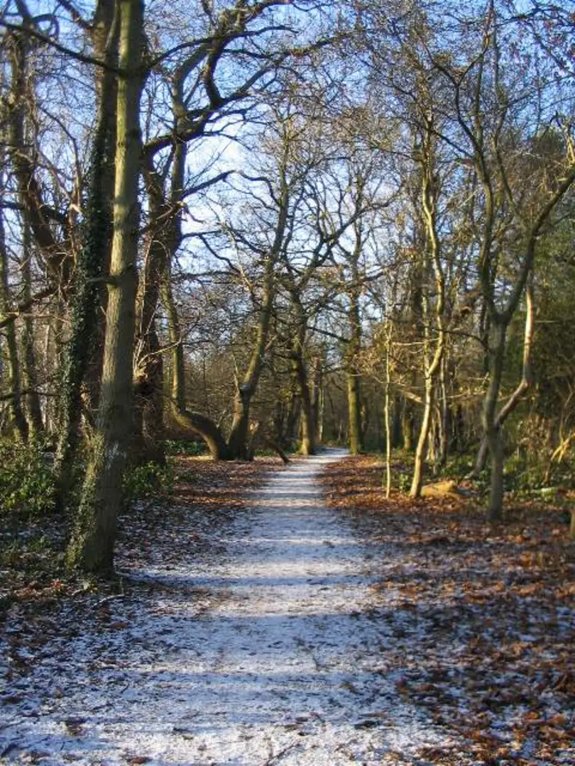 An image depicting the trail Kenilworth and Burton Green Loop and its surrounding area.