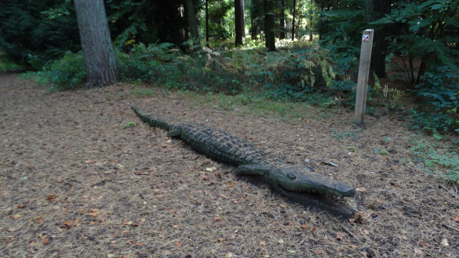 An image depicting the trail Rendlesham Forest Loop - South and its surrounding area.