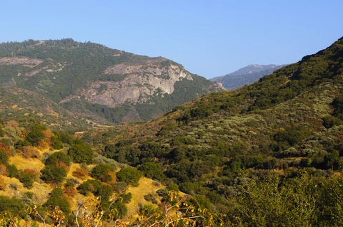 An image depicting the trail White Chief Trail and its surrounding area.