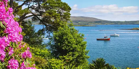An image depicting the trail Seefin Loop - Sheep's Head and its surrounding area.