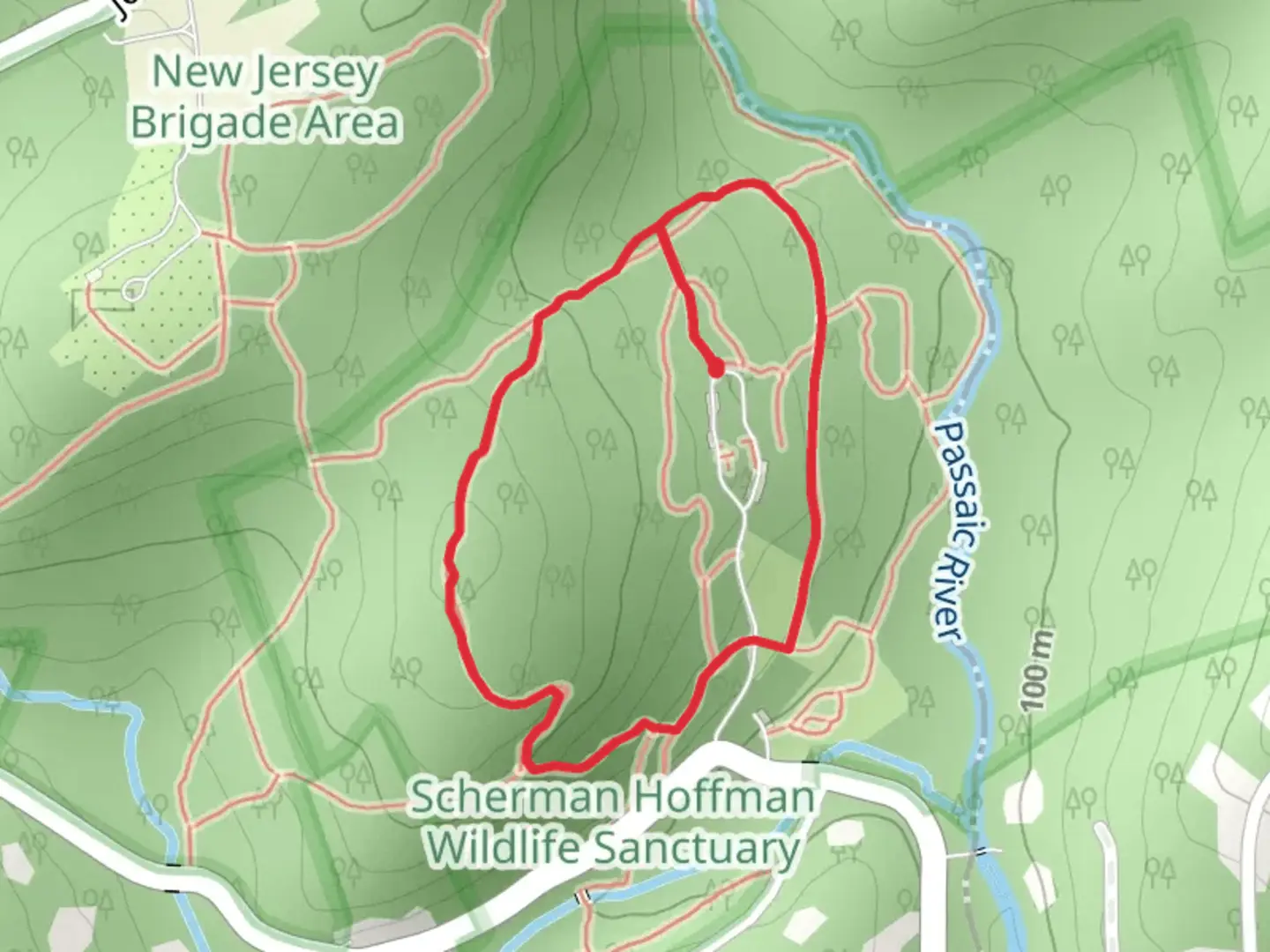 An image depicting the trail Dogwood Red Loop Trail and its surrounding area.