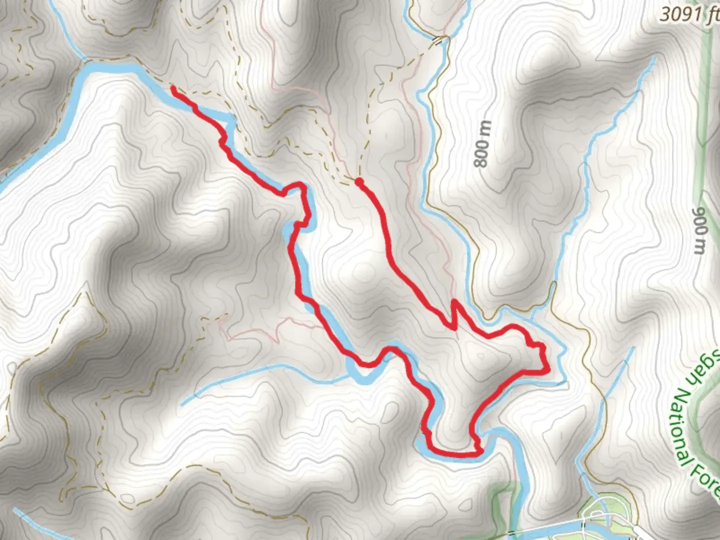An image depicting the trail Trace Ridge and North Mills River Trail and its surrounding area.
