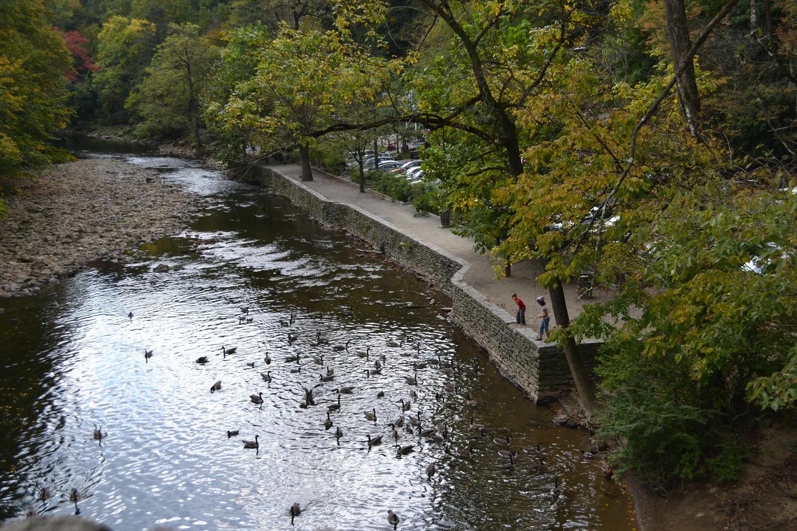 An image depicting the trail Leavender and Orange Trail Loop and its surrounding area.