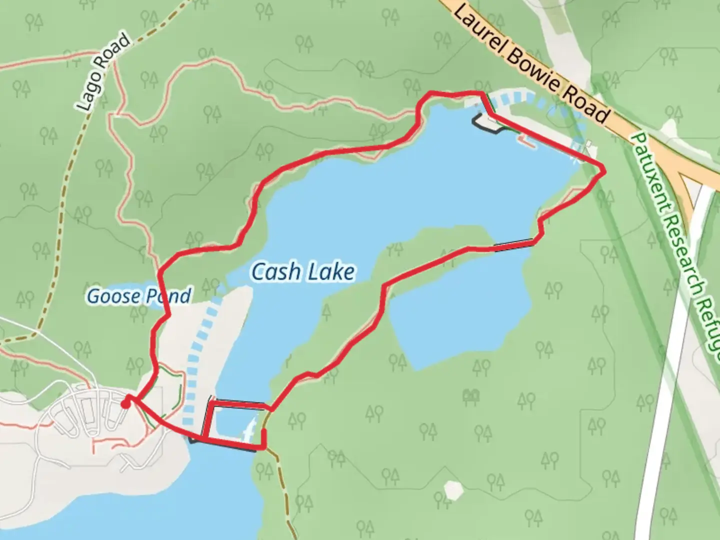 An image depicting the trail Cash Lake Loop and its surrounding area.