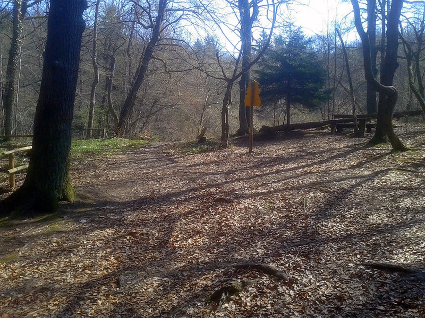 An image depicting the trail Battenberg Loop via Bobenheim am Berg Waldfroschweg and its surrounding area.