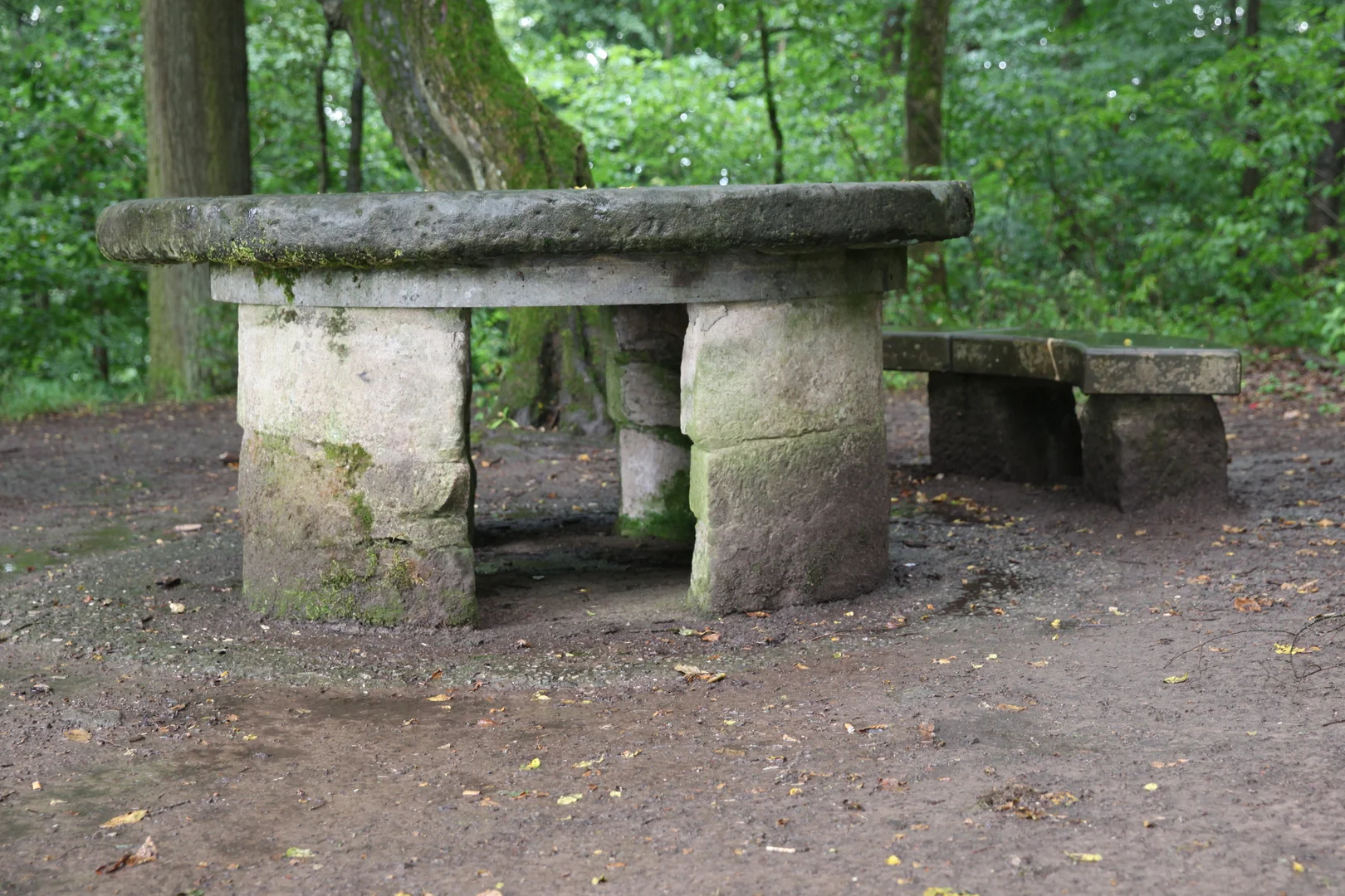 An image depicting the trail Rundwanderweg Bergbau and Gruener Balken Loop and its surrounding area.