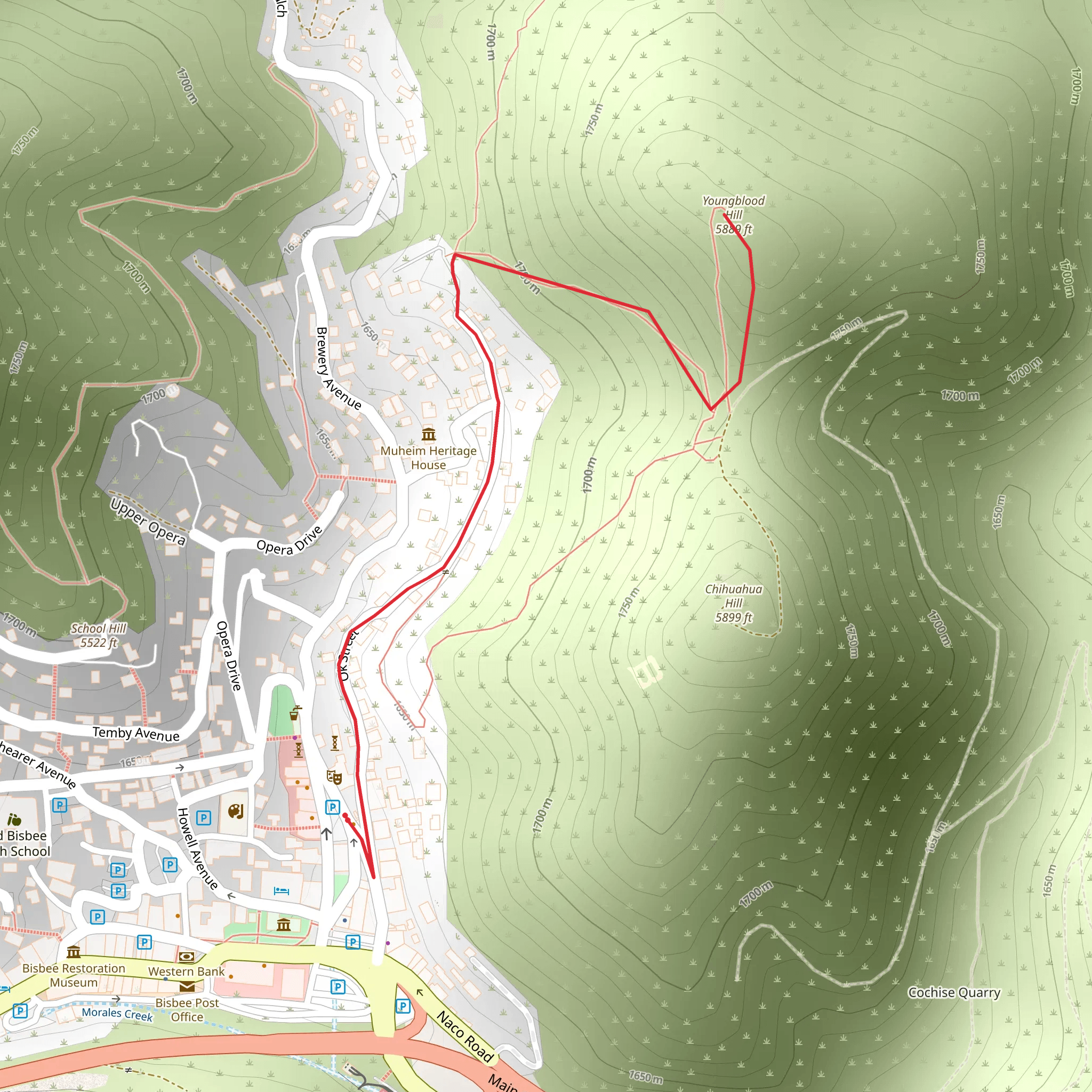Youngblood Hill mobile static map