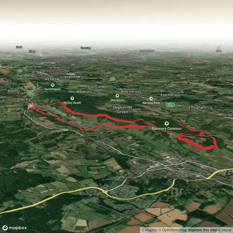 Broomy Downs, Picketts Hole and Ranmore Common via North Downs Way