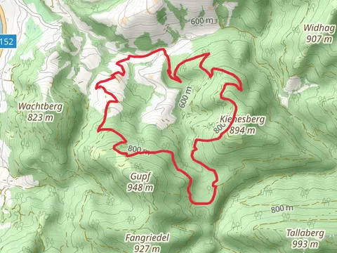 Födinger Alm Mountain Pastures Hike
