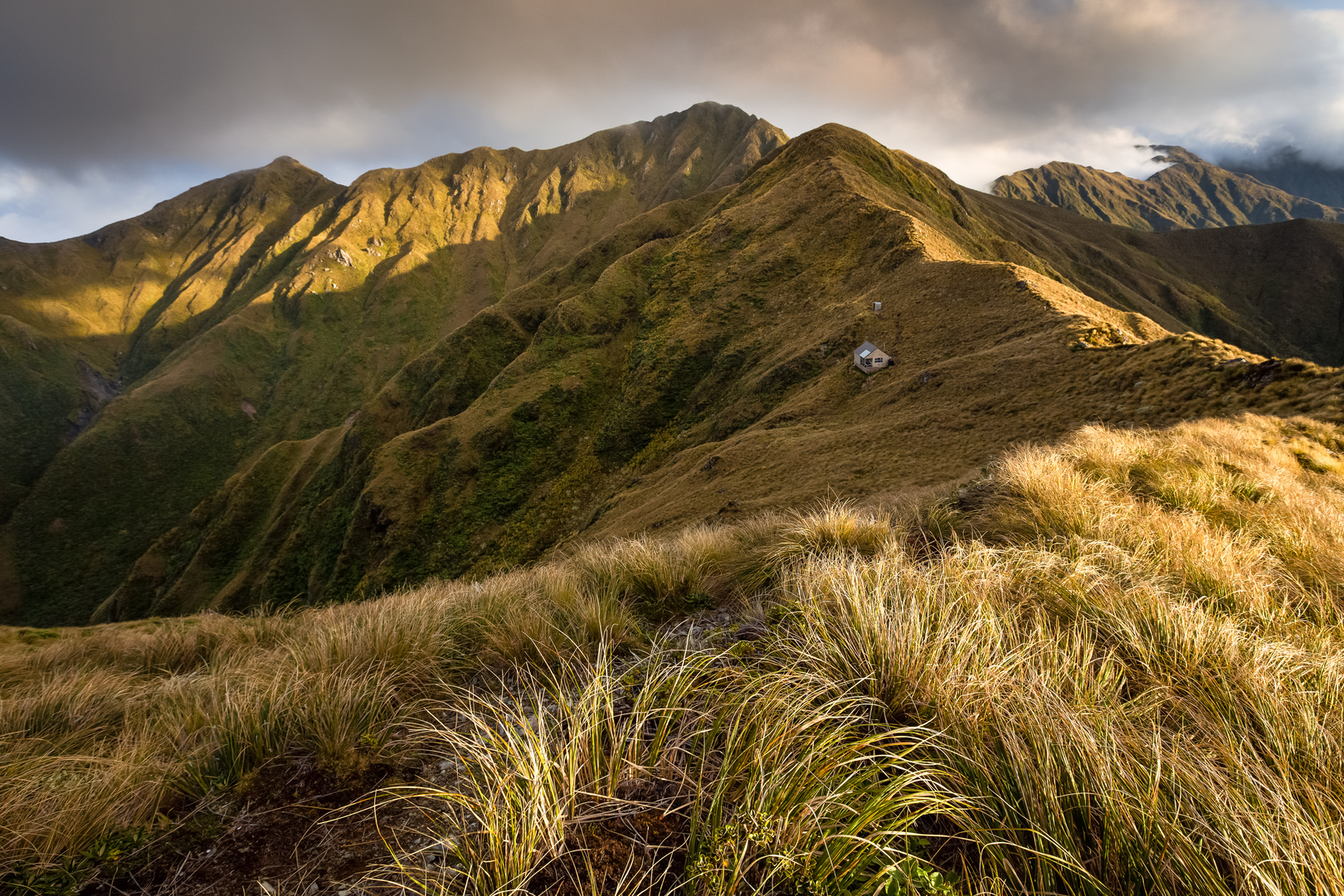 An image depicting the trail Tararua Northern Crossing and its surrounding area.