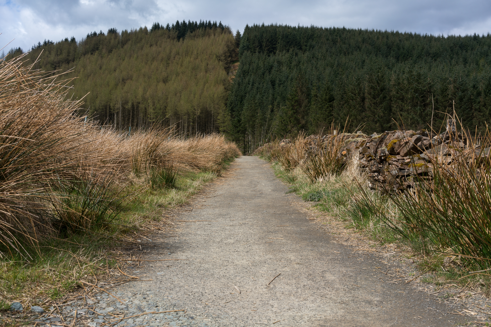 An image depicting the trail Three Lochs Way and its surrounding area.