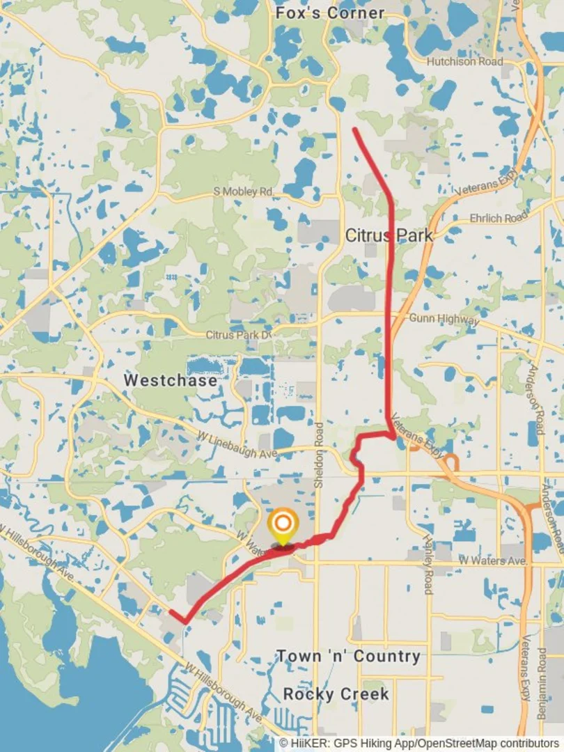 An image depicting the trail Upper Tampa Bay Trail and its surrounding area.