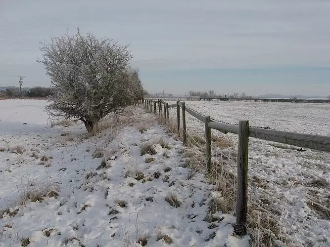 Longcot and Uffington Circular