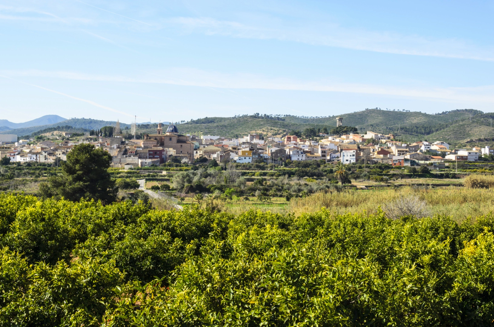 An image depicting the trail Soneja - La Dehesa PR CV 320 and its surrounding area.