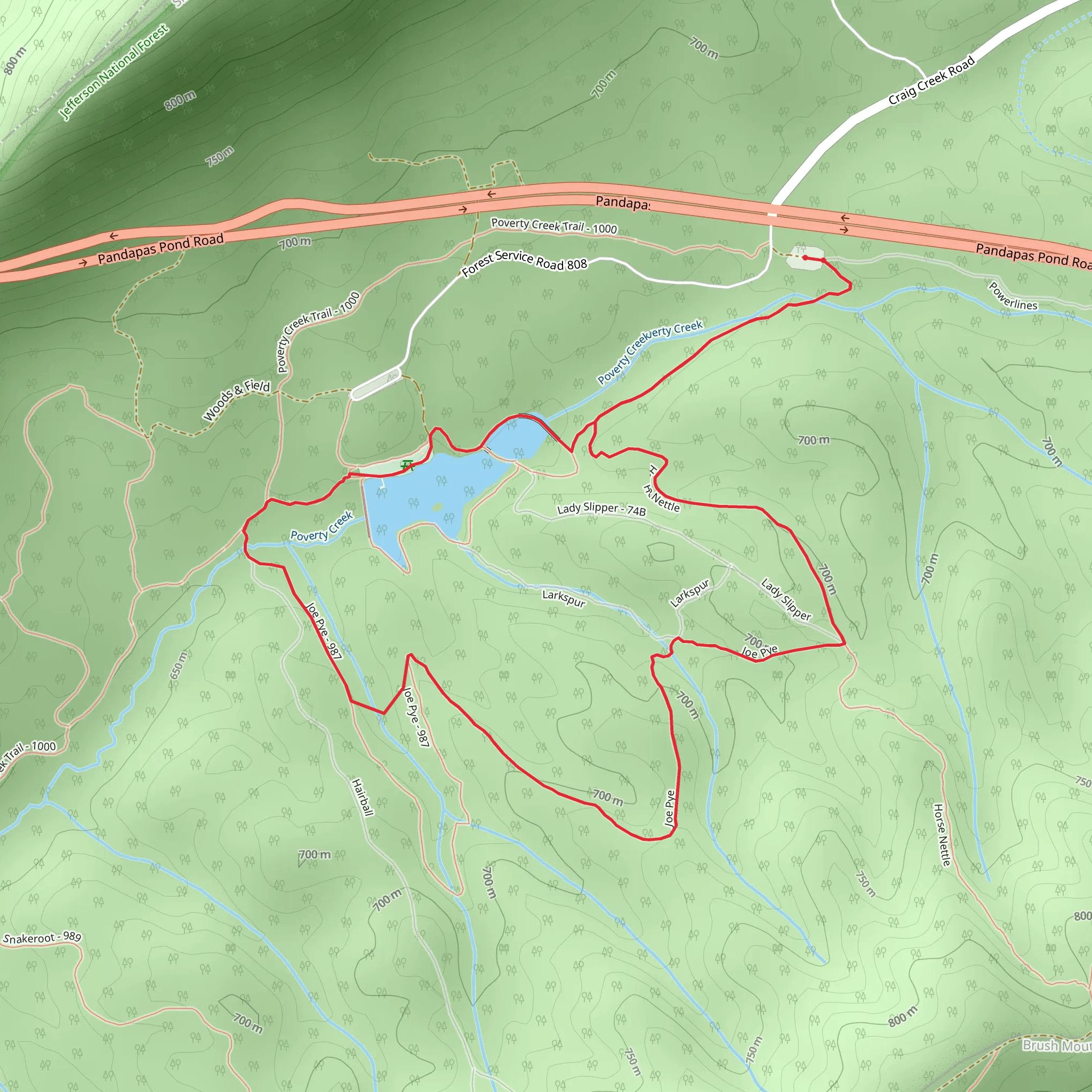 Horse Nettle, Joe Pye and Pandapas Pond Loop mobile static map