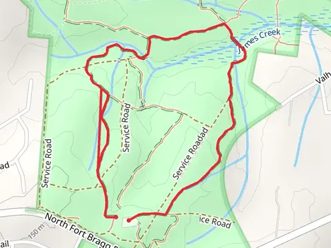 Lighter Stump and Pine Barrens Loop Trail