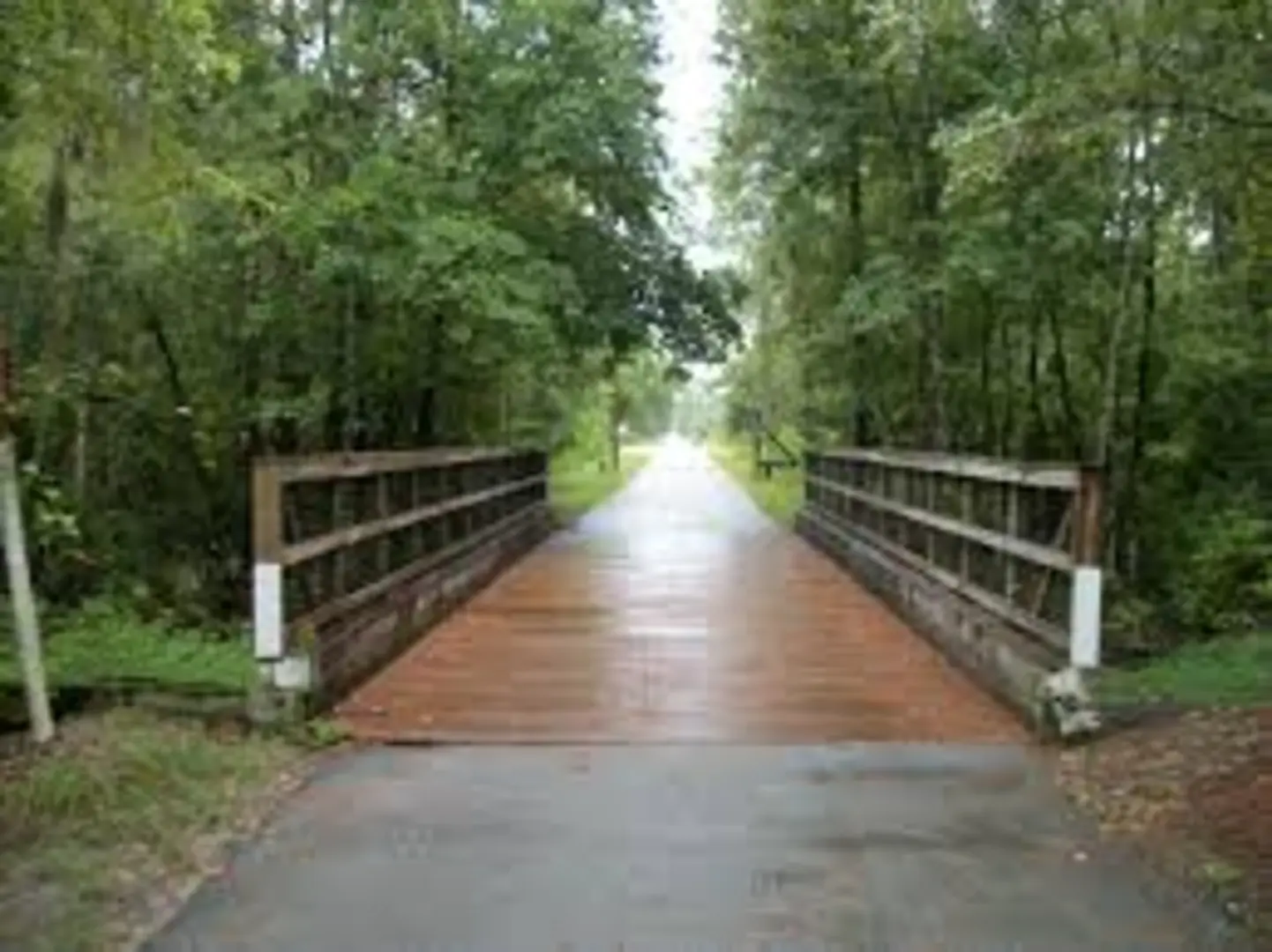 An image depicting the trail Gen James A Van Fleet State Trail and its surrounding area.