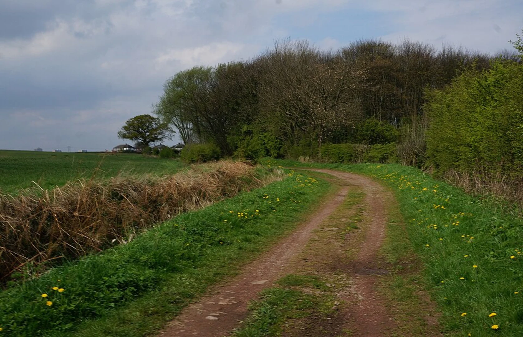 An image depicting the trail Chapel Stile, Brathay and Holme Ground Loop via Rydal Water and its surrounding area.