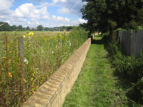 An image depicting the trail Cookham Moor Loop and its surrounding area.