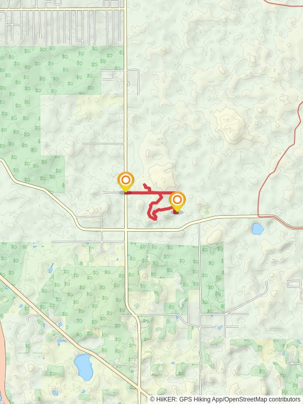 Lizzie Hart Sink Loop via Withlacoochee State Forest Trail