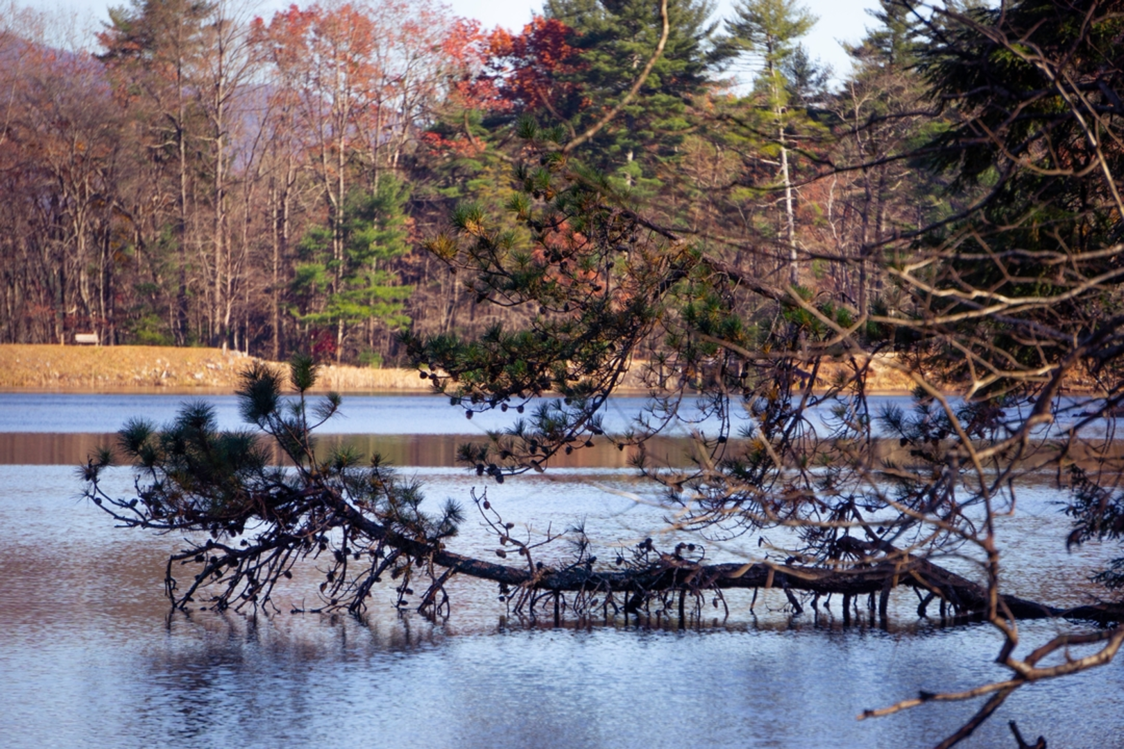 An image depicting the trail Trahlyta Lake Loop Trail and its surrounding area.