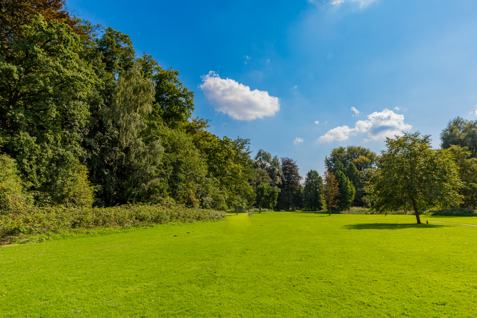 An image depicting the trail Kelmonderbos and Kasteel Genbroek Loop and its surrounding area.
