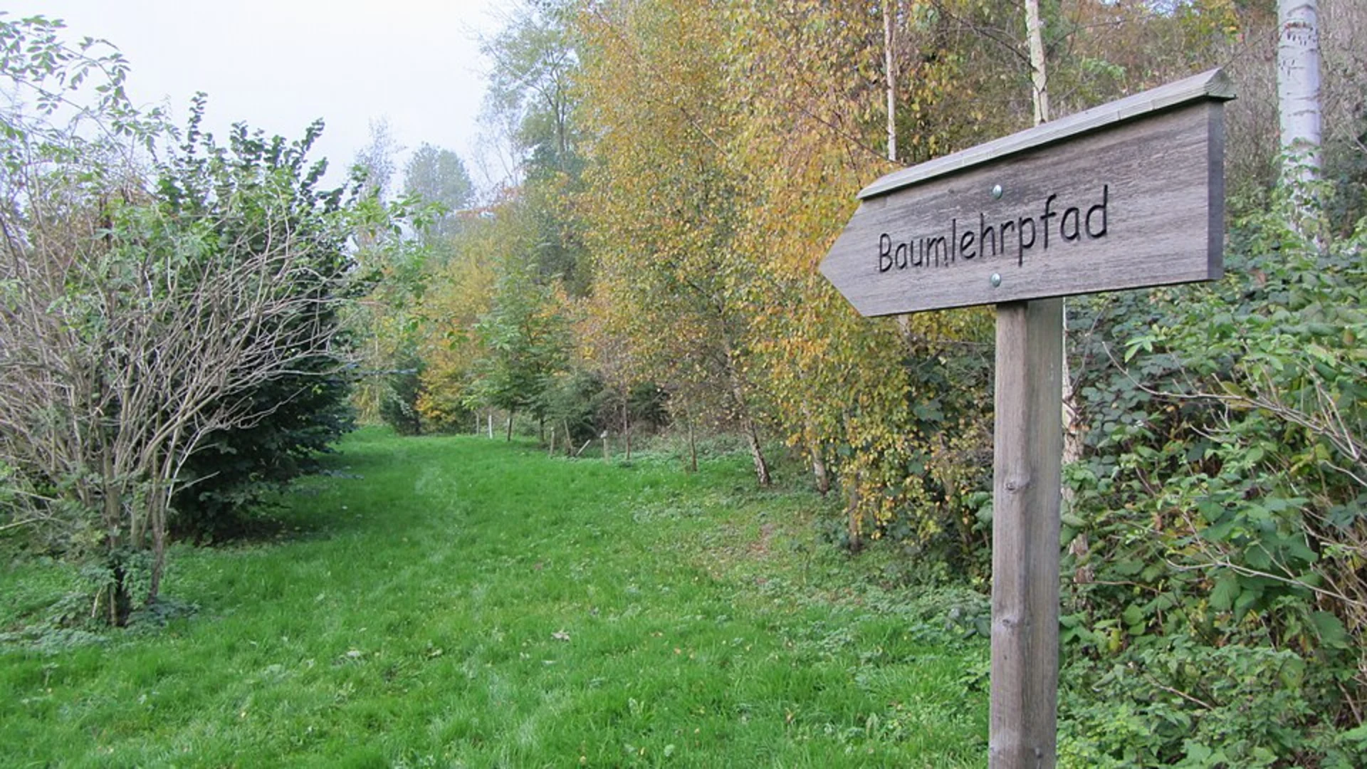 An image depicting the trail Bad Oldesloe to Kneeden Walk via River Trave and its surrounding area.