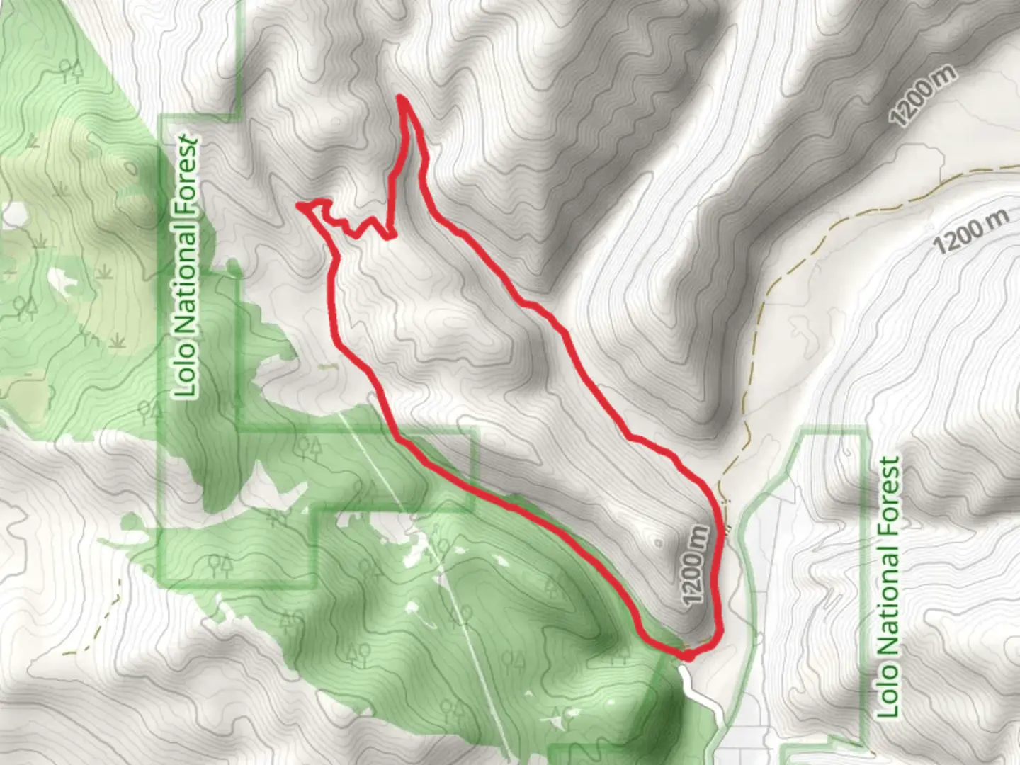 An image depicting the trail Ewok - Spring Gulch Loop and its surrounding area.
