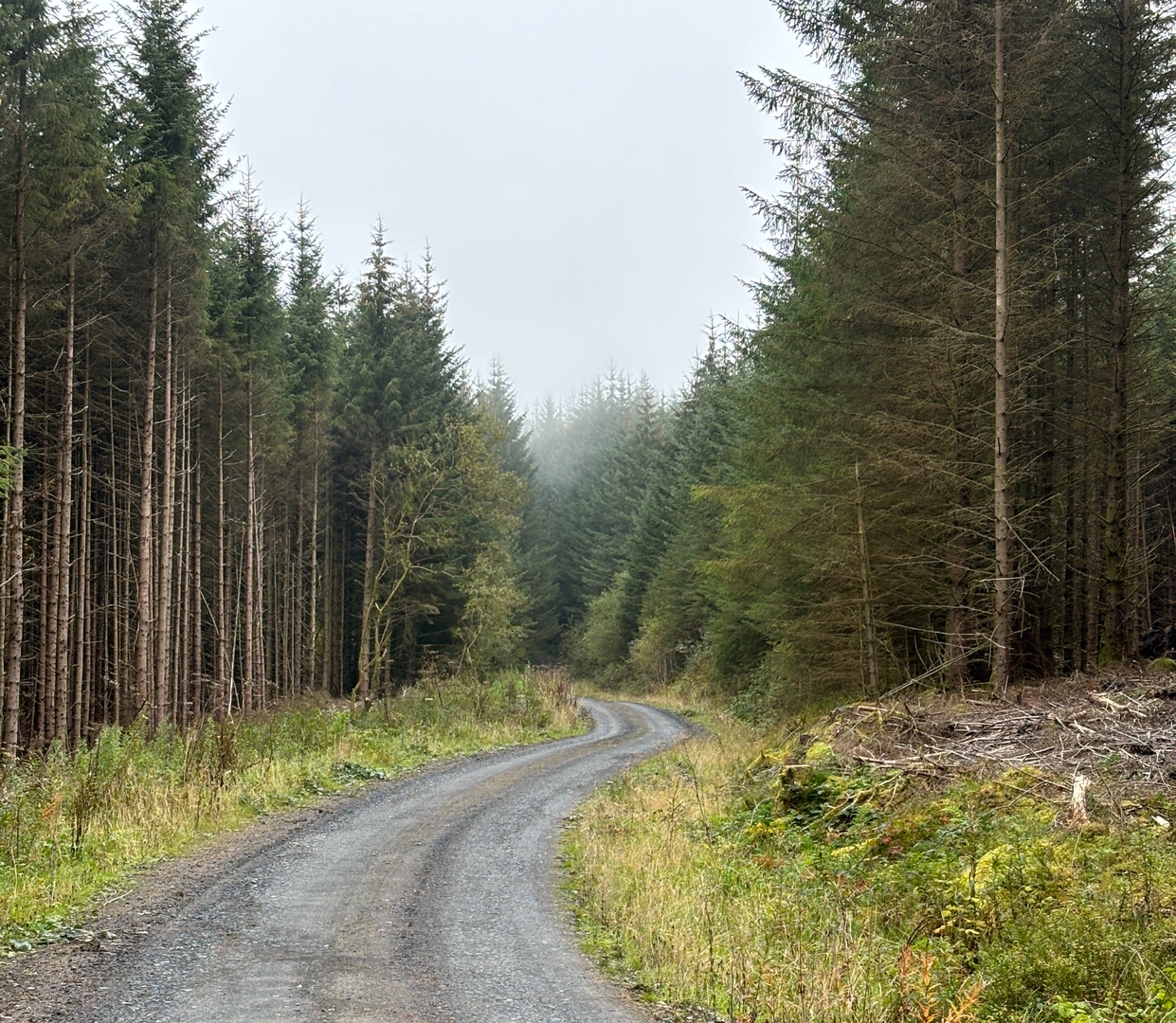 An image depicting the trail Hiraethog Trail - Stage 2 (Llanfihangel Glyn Myfyr to Cyffylliog) and its surrounding area.